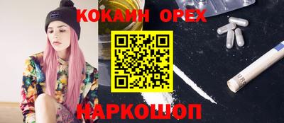 круглые Камышлов