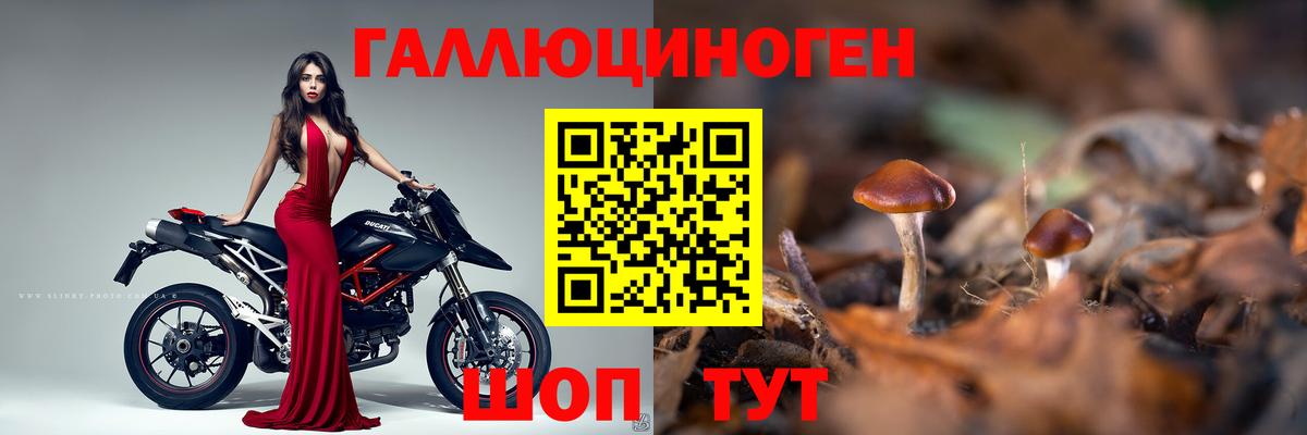 Псилоцибиновые грибы Magic Shrooms Корсаков